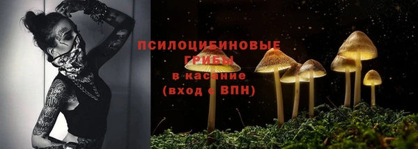 мет Кинешма