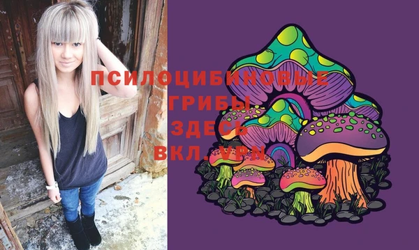 прущая мука Киреевск