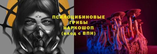 шишки Кодинск