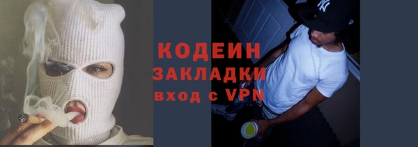 шишки Кодинск
