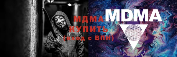 шишки Кодинск