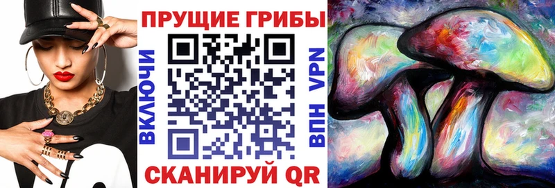 Псилоцибиновые грибы прущие грибы  купить  сайты  OMG ТОР  Нефтекамск 