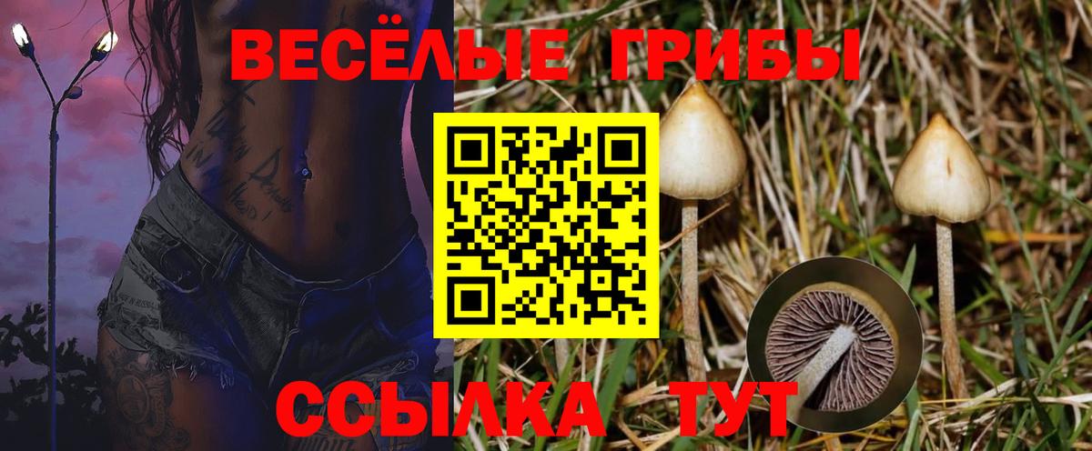 ГАШ  Вход с VPN  Нефтекамск  ГЕРОИН  Меф   Cocaine  Конопля 