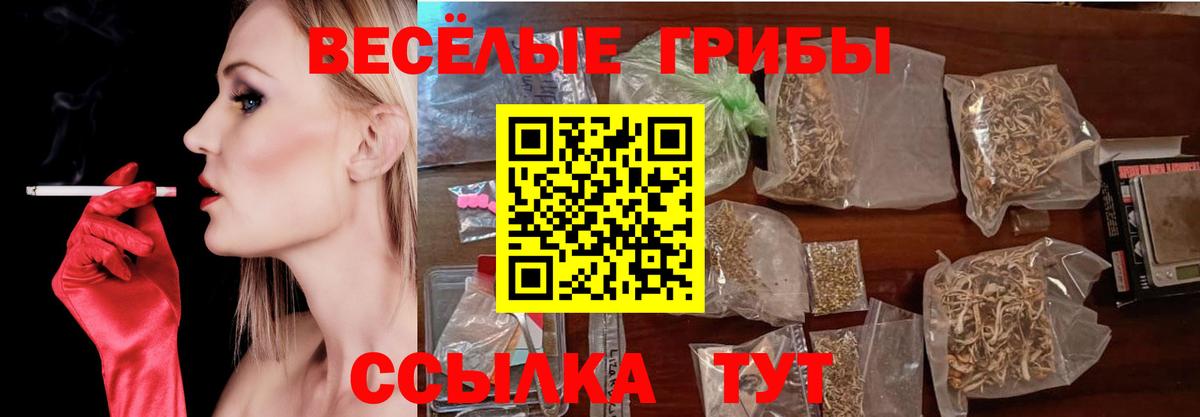 Псилоцибиновые грибы MAGIC MUSHROOMS  Галлюциногенные грибы Psilocybe  Вход с VPN  Нефтекамск 